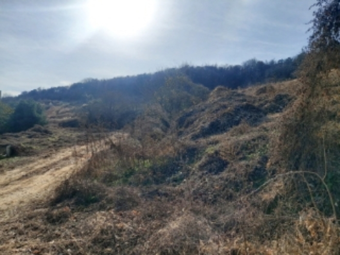 충청남도 당진시 합덕읍 소소리 383-1 외 1필지 동물및식물관련시설 경매 사진 52