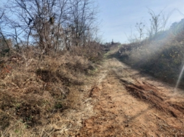 충청남도 당진시 합덕읍 소소리 383-1 외 1필지 동물및식물관련시설 경매 사진 56