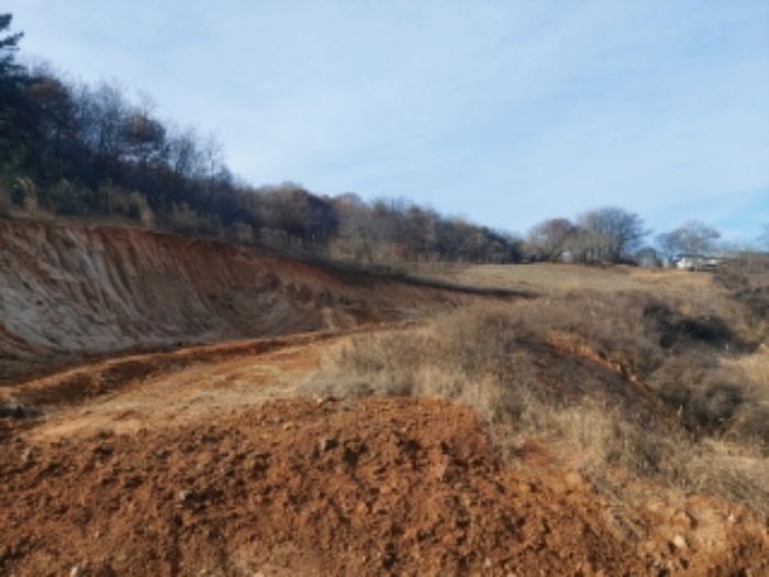 충청남도 당진시 합덕읍 소소리 383-1 외 1필지 동물및식물관련시설 경매 사진 59