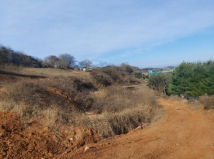 충청남도 당진시 합덕읍 소소리 383-1 외 1필지 동물및식물관련시설 경매 사진 60