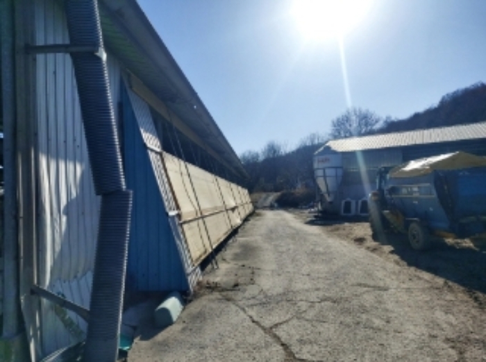 충청남도 당진시 합덕읍 소소리 383-1 외 1필지 동물및식물관련시설 경매 사진 7
