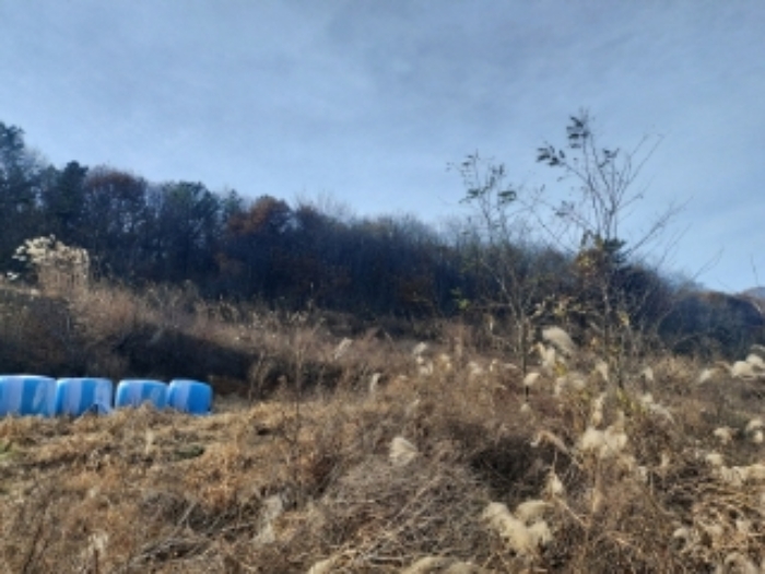 충청남도 당진시 합덕읍 소소리 383-1 외 1필지 동물및식물관련시설 경매 사진 61
