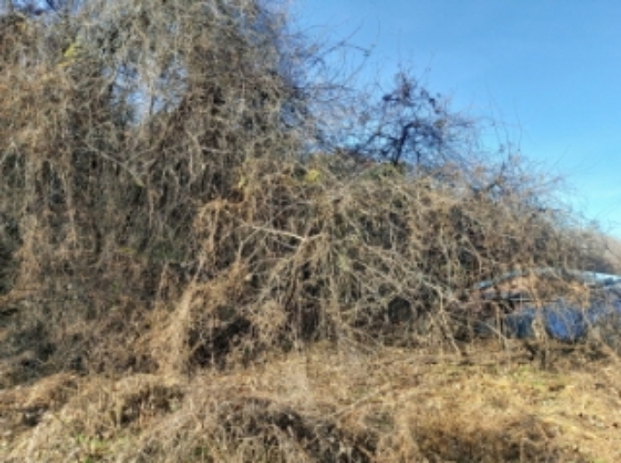 충청남도 당진시 합덕읍 소소리 383-1 외 1필지 동물및식물관련시설 경매 사진 78