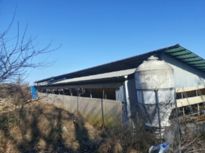 충청남도 당진시 합덕읍 소소리 383-1 외 1필지 동물및식물관련시설 경매 사진 87