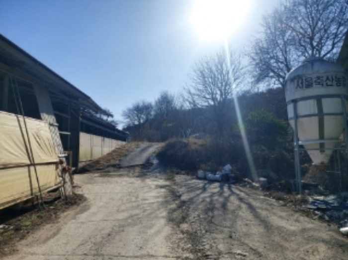 충청남도 당진시 합덕읍 소소리 383-1 외 1필지 동물및식물관련시설 경매 사진 93