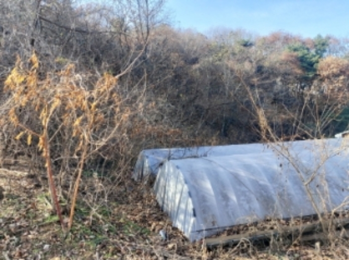충청남도 당진시 합덕읍 소소리 383-1 외 1필지 동물및식물관련시설 경매 사진 99