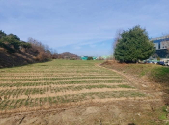 충청남도 당진시 합덕읍 소소리 383-1 외 1필지 동물및식물관련시설 경매 사진 100