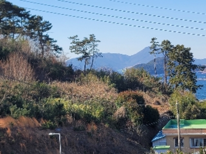 경상남도 거제시 사등면 창호리 798-6 임야 경매 사진 12