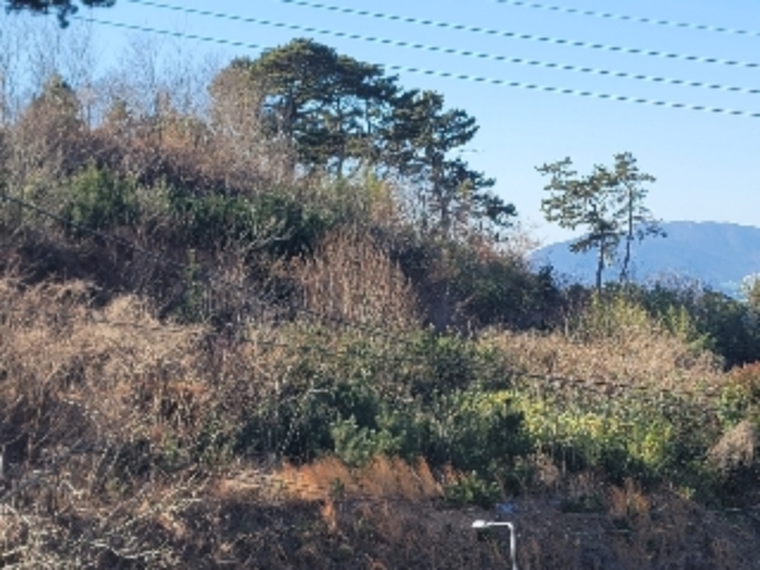 경상남도 거제시 사등면 창호리 798-6 임야 경매 사진 13