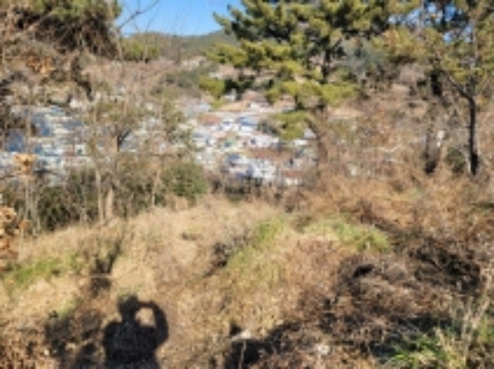 경상남도 거제시 사등면 창호리 798-6 임야 경매 사진 14