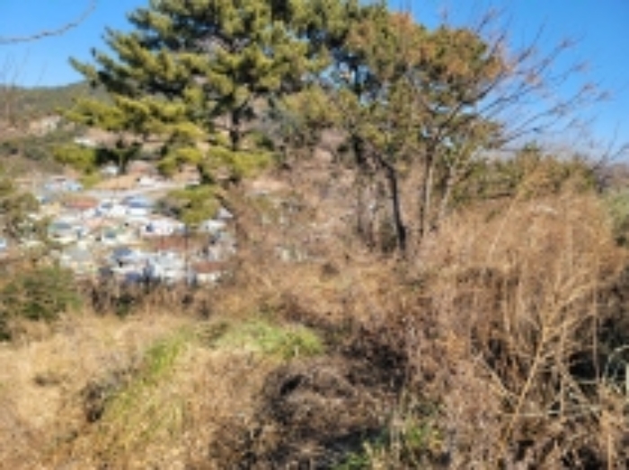 경상남도 거제시 사등면 창호리 798-6 임야 경매 사진 15
