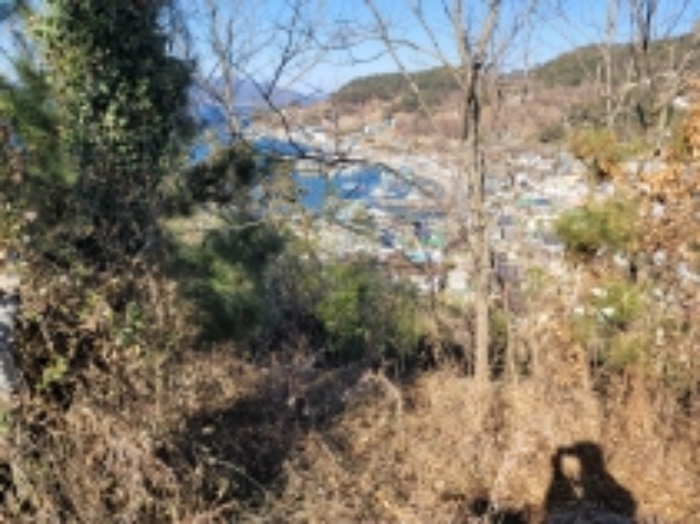 경상남도 거제시 사등면 창호리 798-6 임야 경매 사진 16