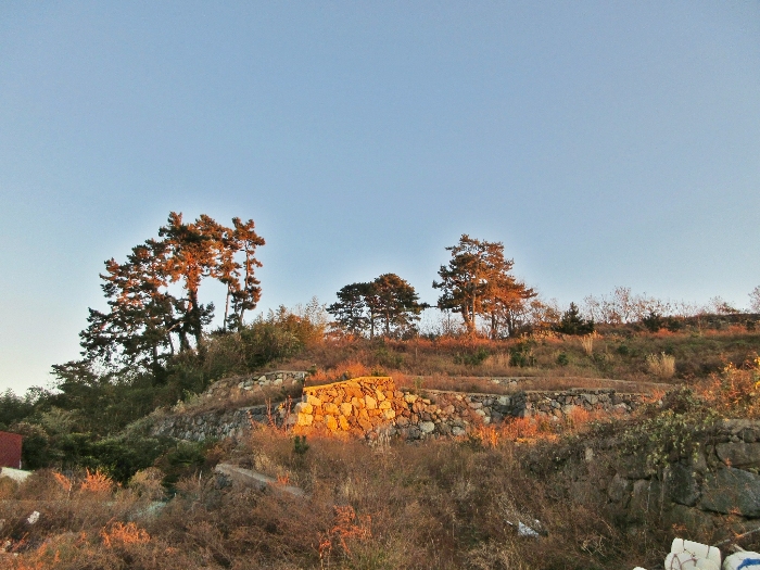경상남도 거제시 사등면 창호리 798-6 임야 경매 사진 21