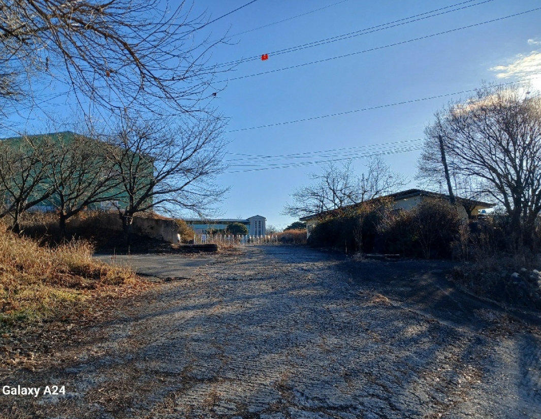 전라남도 곡성군 겸면 마전리 647 외 2필지 창고시설 경매 사진 1