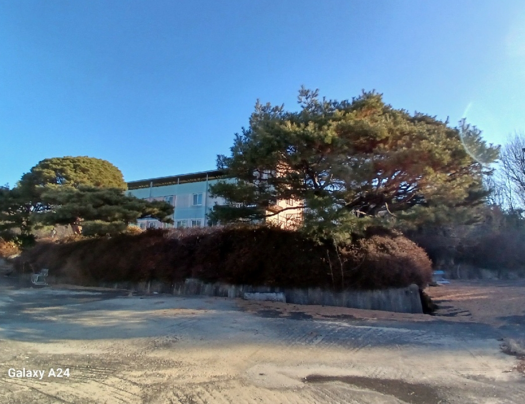 전라남도 곡성군 겸면 마전리 647 외 2필지 창고시설 경매 사진 19
