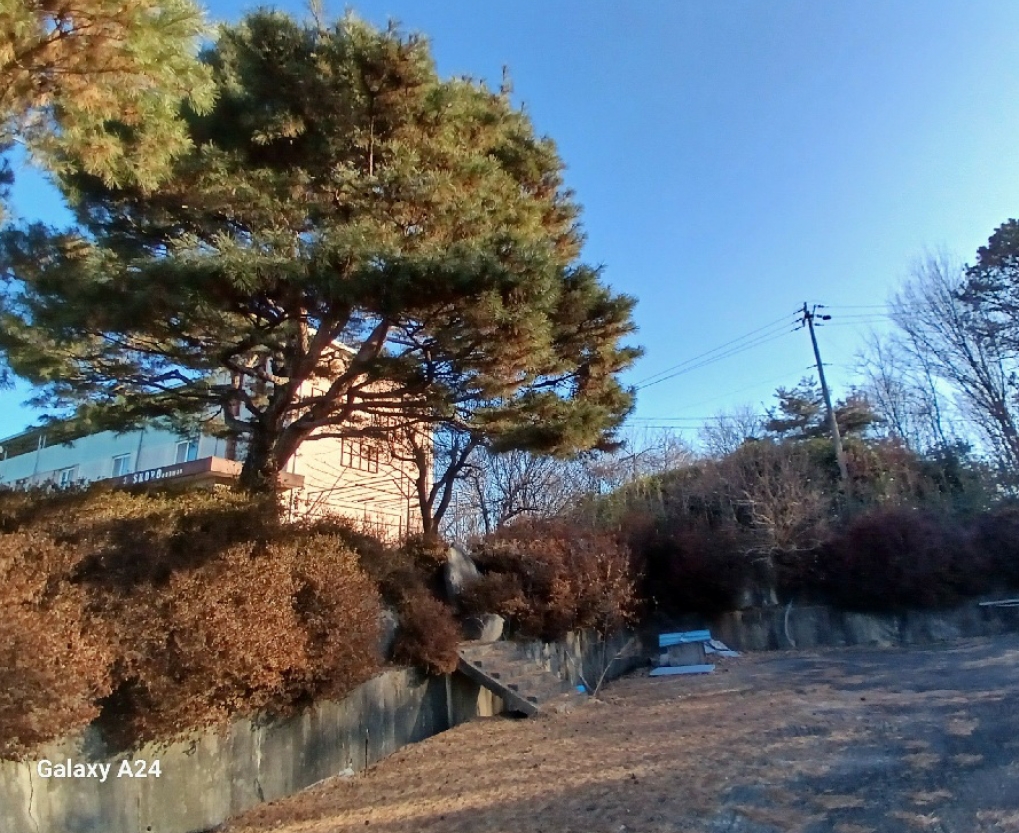 전라남도 곡성군 겸면 마전리 647 외 2필지 창고시설 경매 사진 22