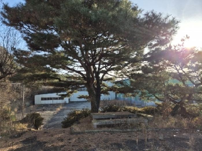 전라남도 곡성군 겸면 마전리 647 외 2필지 창고시설 경매 사진 31