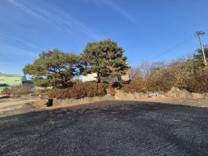 전라남도 곡성군 겸면 마전리 647 외 2필지 창고시설 경매 사진 35