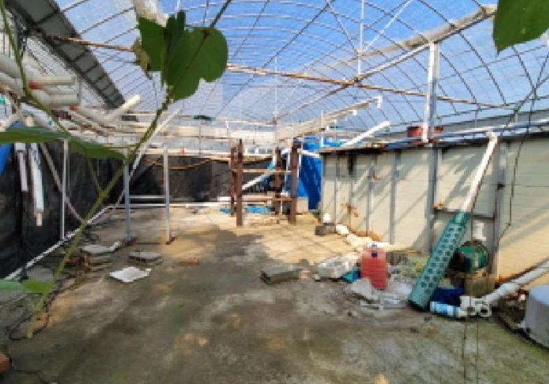 전라남도 고흥군 도양읍 관리 272 외 2필지 동물및식물관련시설 경매 사진 34