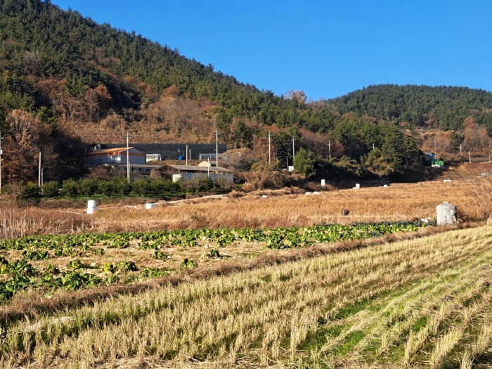 전라남도 고흥군 도양읍 관리 272 외 2필지 동물및식물관련시설 경매 사진 73