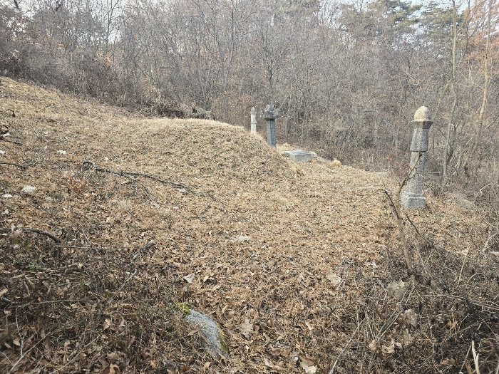 경상북도 안동시 서후면 광평리 63 전 경매 사진 15