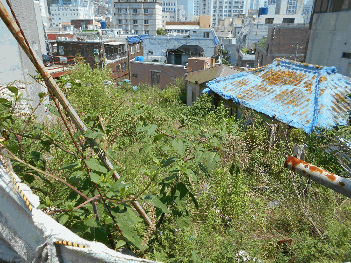 부산광역시 중구 영주동 718 외 1필지 대지 경매 사진 11