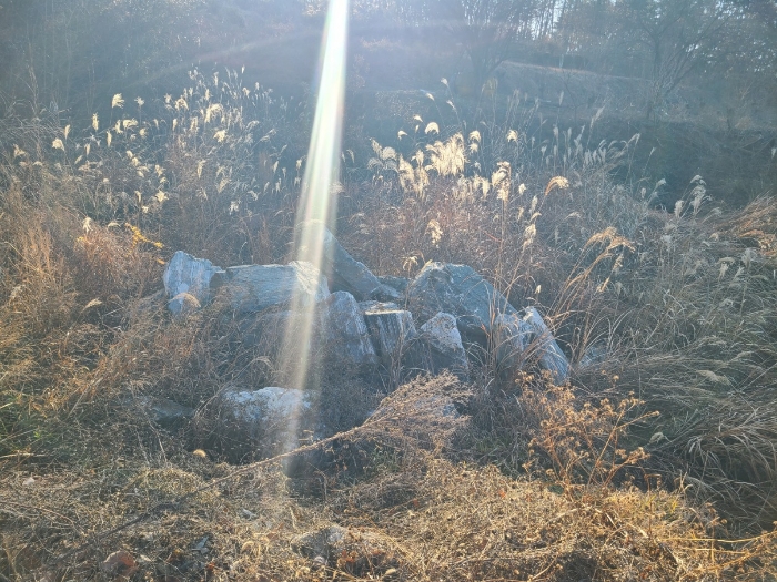 경상남도 함안군 군북면 소포리 909-1 전 경매 사진 13