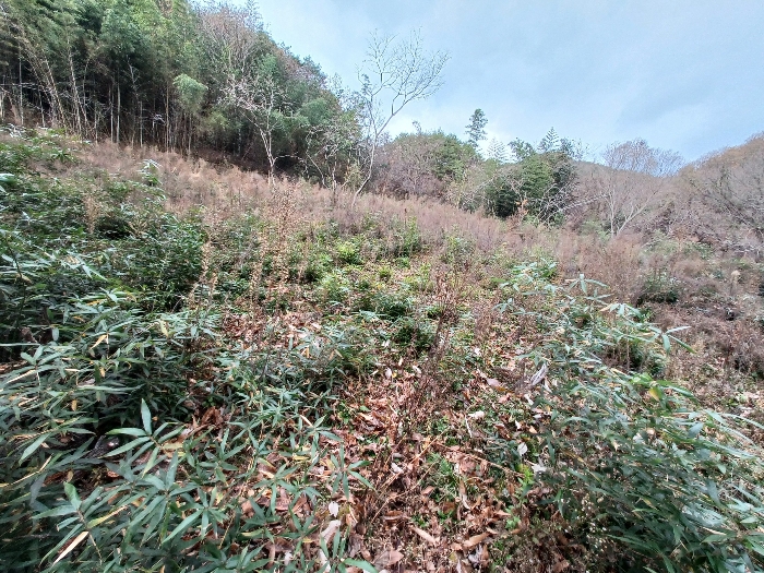경상남도 산청군 생비량면 제보리 1006-1 전 경매 사진 10