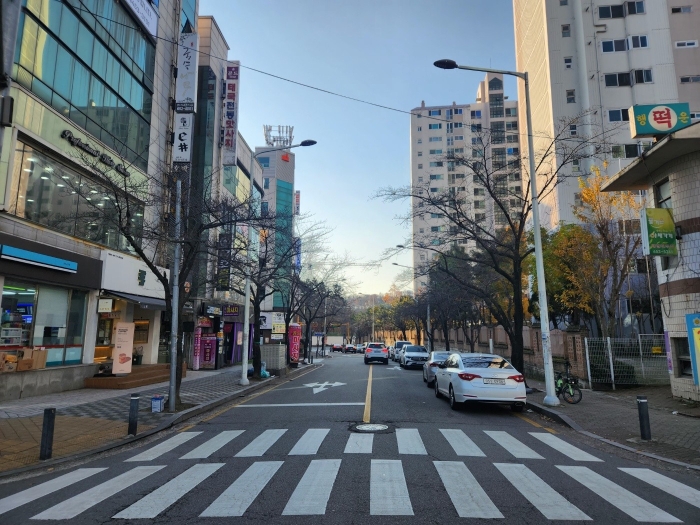 광주 서구 금호동 808, 301동 2층203호 (금호동,금호베스트빌) 아파트 경매 사진 5