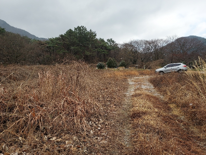 전북특별자치도 고창군 대산면 상금리 37 전 경매 사진 6