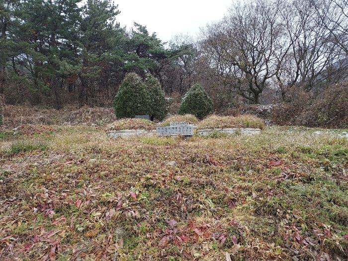 전북특별자치도 고창군 대산면 상금리 37 전 경매 사진 7