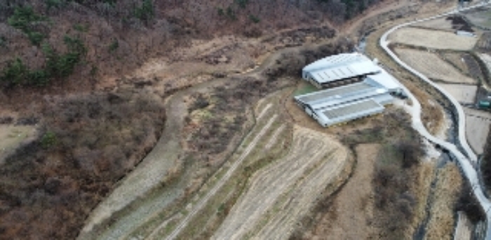 경상북도 김천시 조마면 신곡리 170 외 3필지 답 경매 사진 4