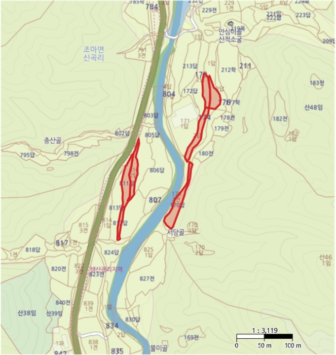경상북도 김천시 조마면 신곡리 170 외 3필지 답 경매 사진 8