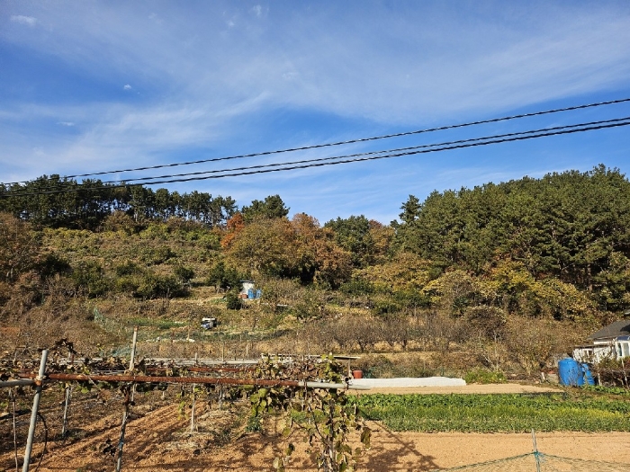 경상남도 거제시 사등면 청곡리 302 전 경매 사진 2