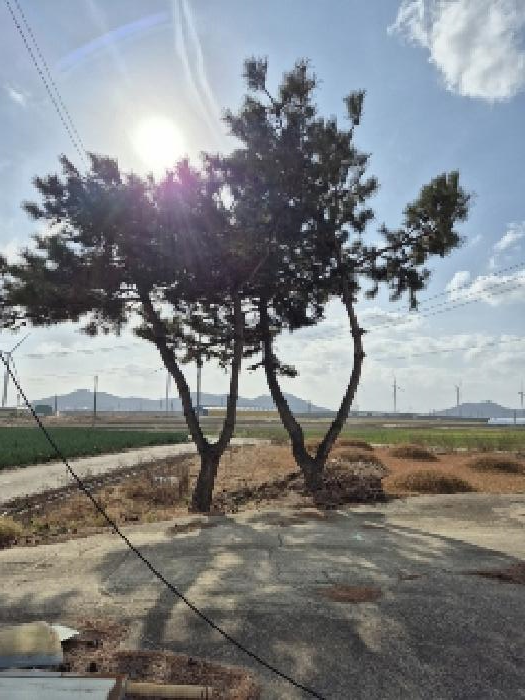 전라남도 영광군 백수읍 하사리 1025-3 외 3필지 양어장 경매 사진 35
