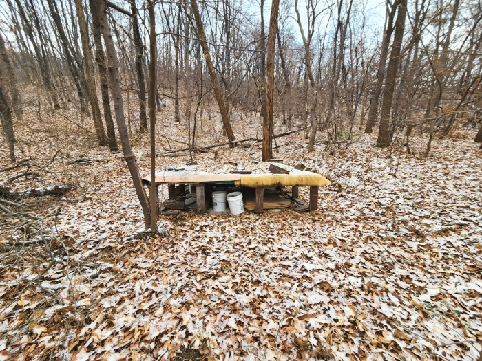 경기도 안양시 동안구 비산동 산185 임야 경매 사진 17