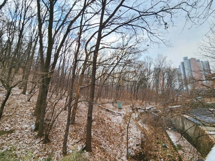 경기도 안양시 동안구 비산동 산185 임야 경매 사진 20