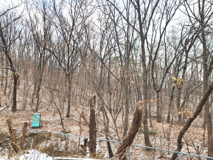 경기도 안양시 동안구 비산동 산185 임야 경매 사진 21