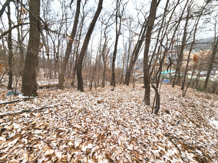 경기도 안양시 동안구 비산동 산185 임야 경매 사진 22