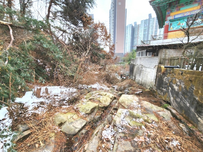 경기도 안양시 동안구 비산동 산185 임야 경매 사진 25