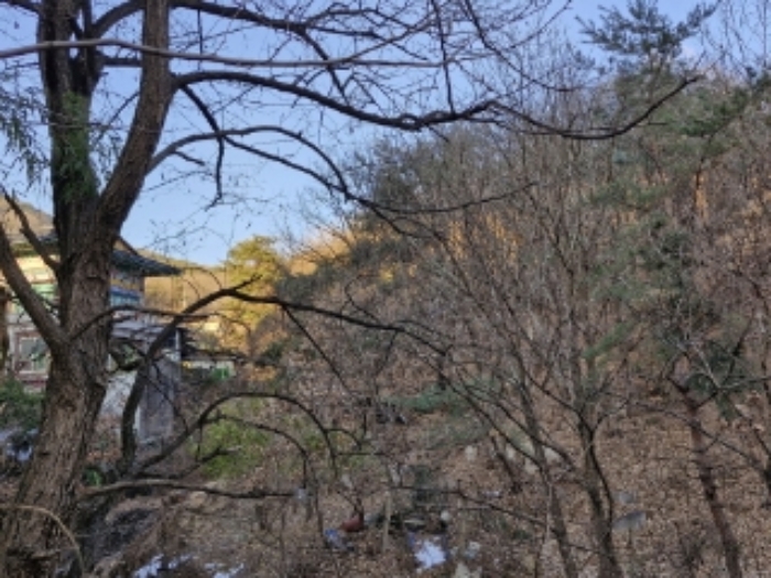 경기도 안양시 동안구 비산동 산185 임야 경매 사진 7