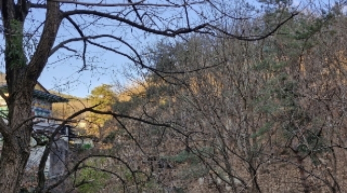 경기도 안양시 동안구 비산동 산185 임야 경매 사진 8