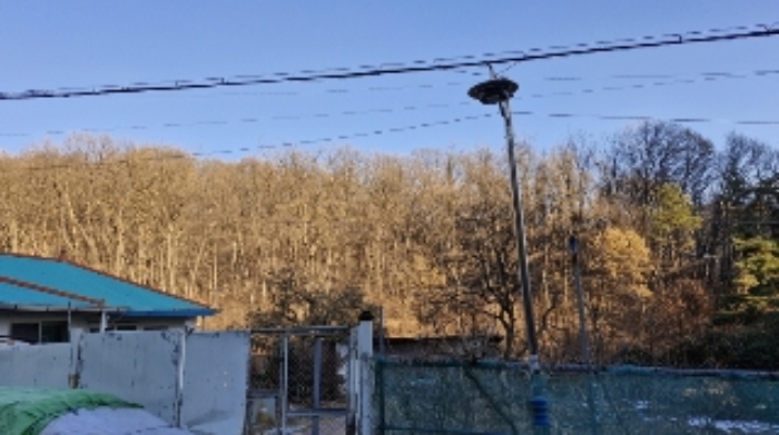 경기도 안양시 동안구 비산동 산185 임야 경매 사진 9