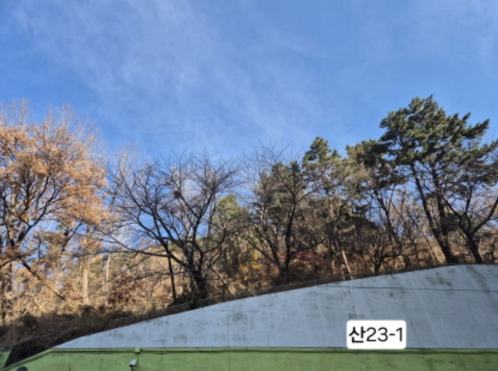 부산광역시 북구 구포동 산23-1 외 1필지 임야 경매 사진 1
