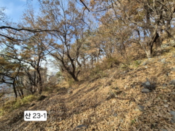 부산광역시 북구 구포동 산23-1 외 1필지 임야 경매 사진 2