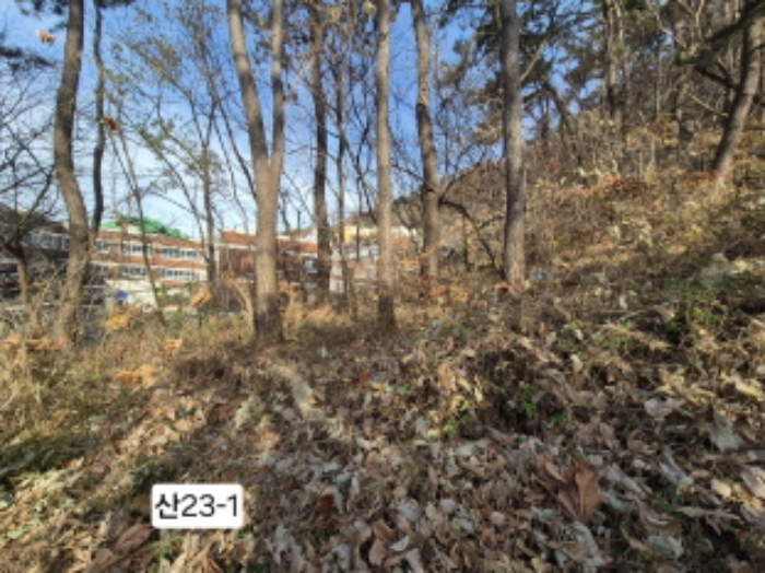 부산광역시 북구 구포동 산23-1 외 1필지 임야 경매 사진 3