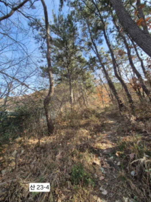 부산광역시 북구 구포동 산23-1 외 1필지 임야 경매 사진 4