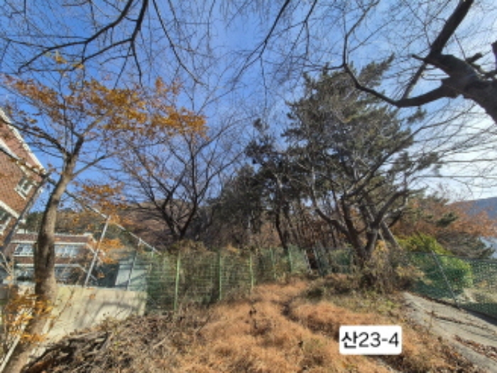 부산광역시 북구 구포동 산23-1 외 1필지 임야 경매 사진 5