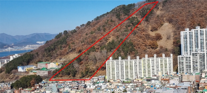 부산광역시 북구 구포동 산23-1 외 1필지 임야 경매 사진 6