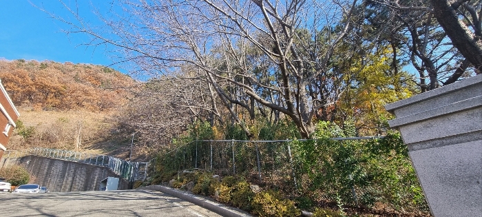 부산광역시 북구 구포동 산23-1 외 1필지 임야 경매 사진 8